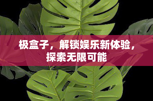 极盒子，解锁娱乐新体验，探索无限可能