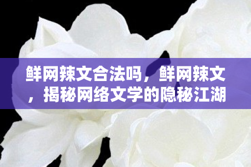 鲜网辣文合法吗，鲜网辣文，揭秘网络文学的隐秘江湖