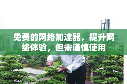 免费的网络加速器，提升网络体验，但需谨慎使用