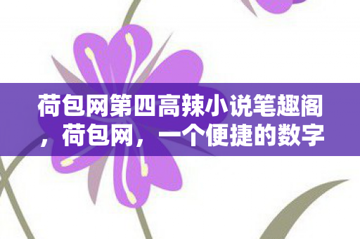 荷包网第四高辣小说笔趣阁，荷包网，一个便捷的数字资源分享平台