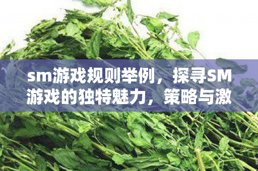 sm游戏规则举例，探寻SM游戏的独特魅力，策略与激情的碰撞