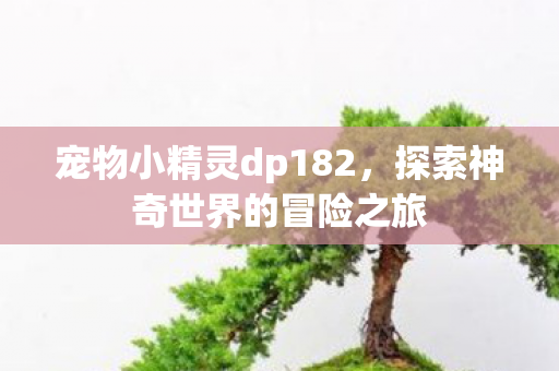 宠物小精灵dp182，探索神奇世界的冒险之旅