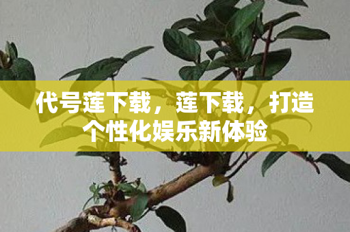 代号莲下载，莲下载，打造个性化娱乐新体验