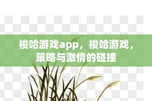 梭哈游戏app，梭哈游戏，策略与激情的碰撞