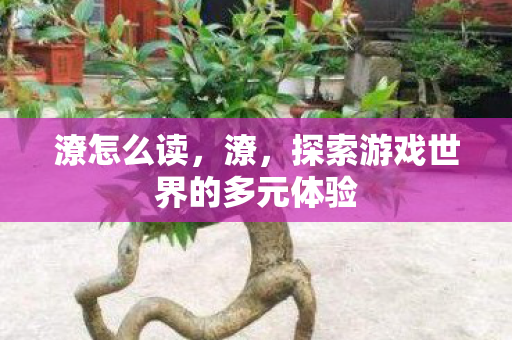 潦怎么读，潦，探索游戏世界的多元体验