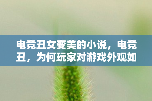 电竞丑女变美的小说，电竞丑，为何玩家对游戏外观如此挑剔？