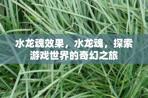 水龙魂效果，水龙魂，探索游戏世界的奇幻之旅