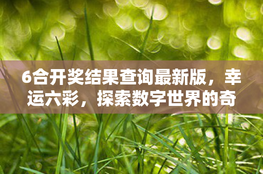 6合开奖结果查询最新版，幸运六彩，探索数字世界的奇妙之旅