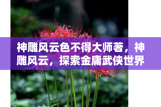 神雕风云色不得大师著，神雕风云，探索金庸武侠世界的另一面