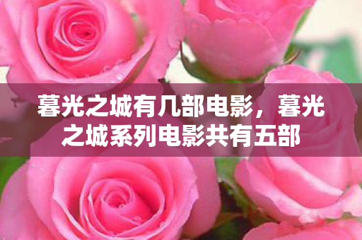 暮光之城有几部电影，暮光之城系列电影共有五部