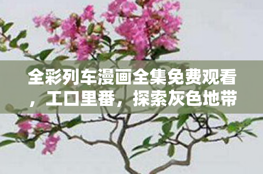 全彩列车漫画全集免费观看，工口里番，探索灰色地带的娱乐消费现象
