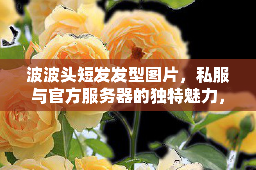 波波头短发发型图片，私服与官方服务器的独特魅力，探索游戏世界的不同维度