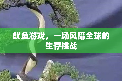 鱿鱼游戏，一场风靡全球的生存挑战