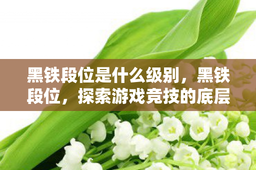 黑铁段位是什么级别，黑铁段位，探索游戏竞技的底层挑战