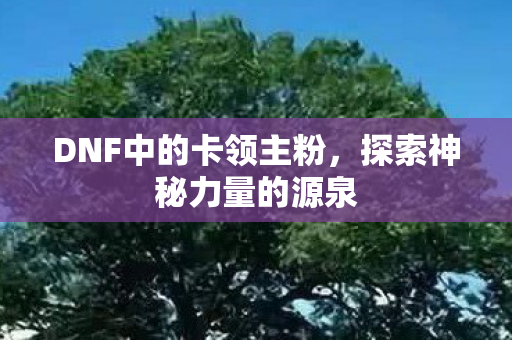 DNF中的卡领主粉，探索神秘力量的源泉