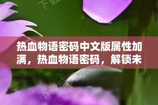 热血物语密码中文版属性加满，热血物语密码，解锁未知世界的神秘钥匙