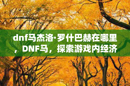 dnf马杰洛·罗什巴赫在哪里，DNF马，探索游戏内经济系统的奥秘与影响