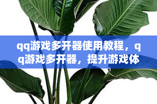 qq游戏多开器使用教程，qq游戏多开器，提升游戏体验的实用工具