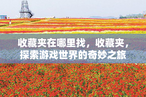 收藏夹在哪里找，收藏夹，探索游戏世界的奇妙之旅
