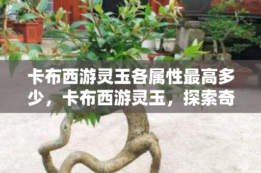 卡布西游灵玉各属性最高多少，卡布西游灵玉，探索奇幻世界的珍贵宝藏