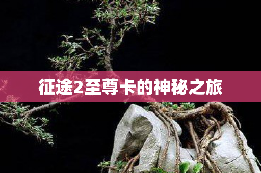 征途2至尊卡的神秘之旅