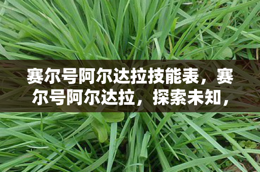 赛尔号阿尔达拉技能表，赛尔号阿尔达拉，探索未知，挑战极限