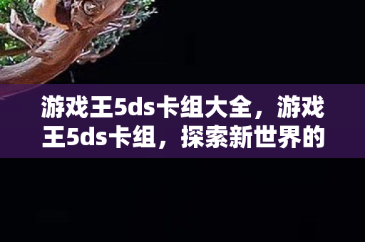 游戏王5ds卡组大全，游戏王5ds卡组，探索新世界的力量