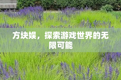 方块娱，探索游戏世界的无限可能