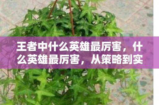 王者中什么英雄最厉害，什么英雄最厉害，从策略到实战，全面解析王者荣耀中的全能英雄—韩信