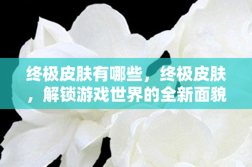 终极皮肤有哪些，终极皮肤，解锁游戏世界的全新面貌