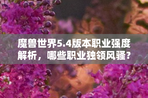 魔兽世界5.4版本职业强度解析，哪些职业独领风骚？