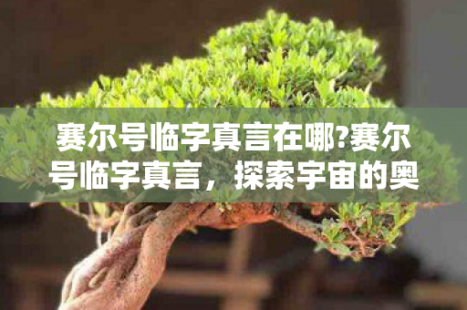 赛尔号临字真言在哪?赛尔号临字真言，探索宇宙的奥秘与冒险