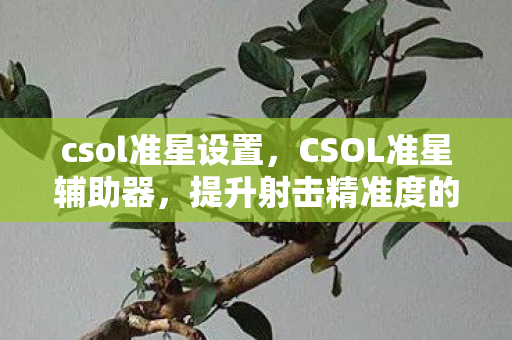 csol准星设置，CSOL准星辅助器，提升射击精准度的利器