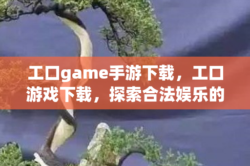 工口game手游下载，工口游戏下载，探索合法娱乐的新途径
