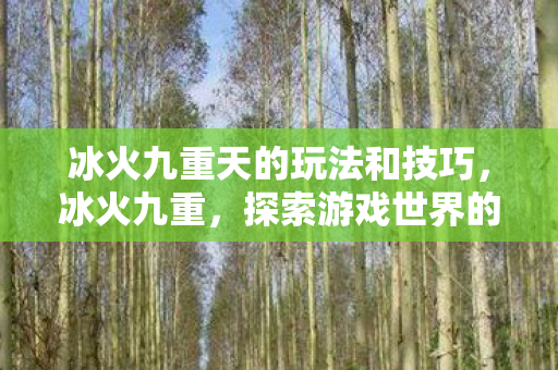 冰火九重天的玩法和技巧，冰火九重，探索游戏世界的双重魅力