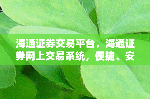海通证券交易平台，海通证券网上交易系统，便捷、安全、高效的在线投资新体验