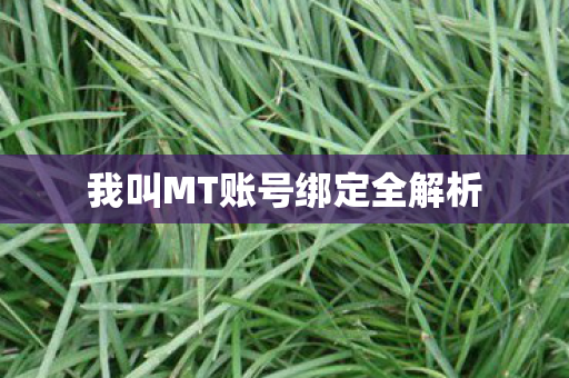我叫MT账号绑定全解析