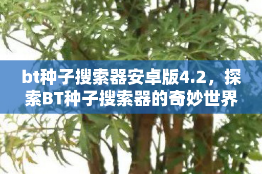bt种子搜索器安卓版4.2，探索BT种子搜索器的奇妙世界