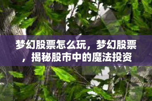梦幻股票怎么玩，梦幻股票，揭秘股市中的魔法投资