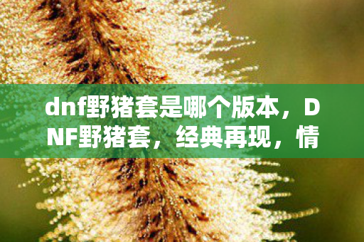 dnf野猪套是哪个版本，DNF野猪套，经典再现，情怀不灭