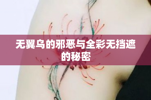 无翼乌的邪恶与全彩无挡遮的秘密