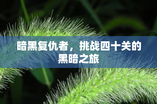 暗黑复仇者，挑战四十关的黑暗之旅