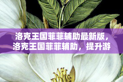 洛克王国菲菲辅助最新版，洛克王国菲菲辅助，提升游戏效率与乐趣的得力助手