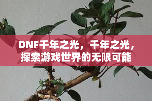 DNF千年之光，千年之光，探索游戏世界的无限可能