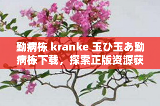 勤病栋 kranke 玉ひ玉あ勤病栋下载，探索正版资源获取与合理分享的新途径