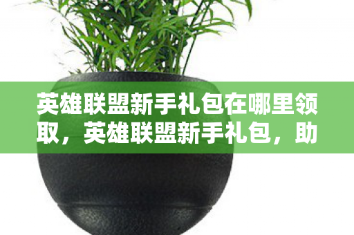 英雄联盟新手礼包在哪里领取，英雄联盟新手礼包，助你快速上手的必备神器