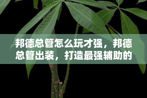 邦德总管怎么玩才强，邦德总管出装，打造最强辅助的装备指南