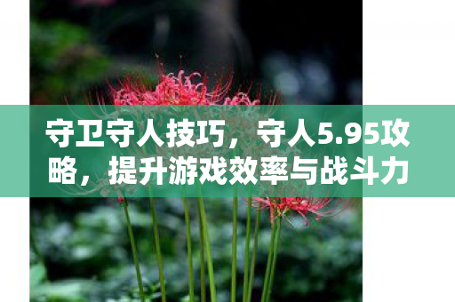 守卫守人技巧，守人5.95攻略，提升游戏效率与战斗力的全面指南