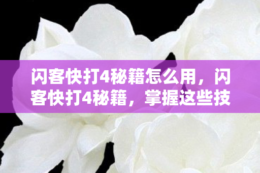 闪客快打4秘籍怎么用，闪客快打4秘籍，掌握这些技巧，轻松通关！