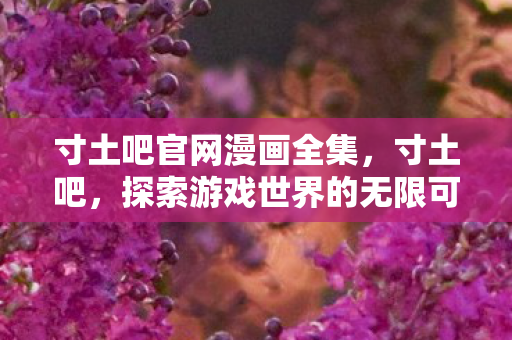 寸土吧官网漫画全集，寸土吧，探索游戏世界的无限可能
